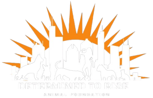 Determined to Rise Animal Foundation